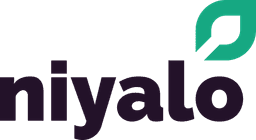 Niyalo Creatives - Web Design and Development